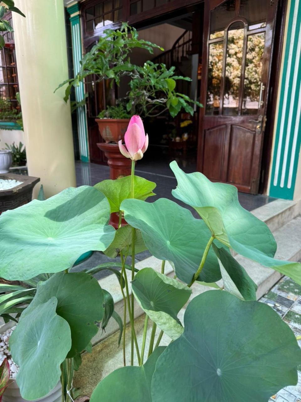 Noel Homestay Tuy Hoa Bagian luar foto